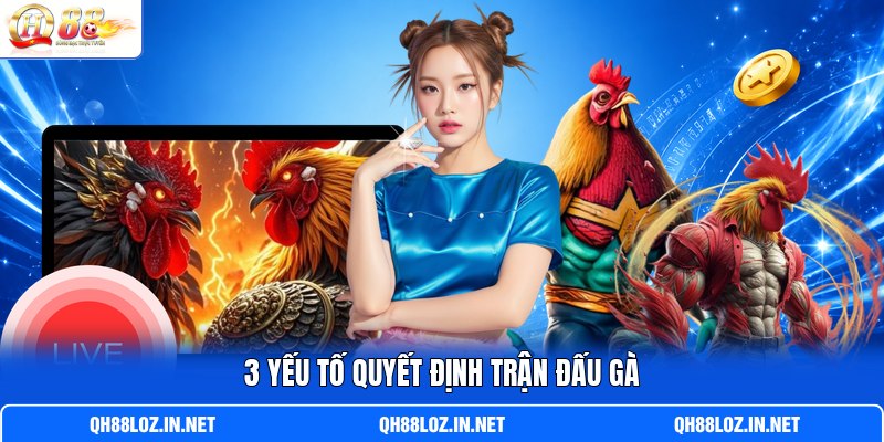 3 yếu tố quyết định trận đấu gà 3 yếu tố quyết định trận đấu gà