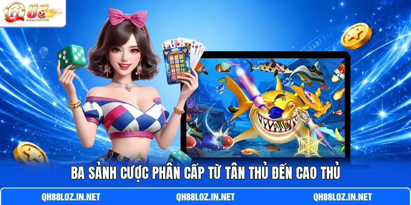 Ba sảnh cược phân cấp từ tân thủ đến cao thủ Ba sảnh cược phân cấp từ tân thủ đến cao thủ