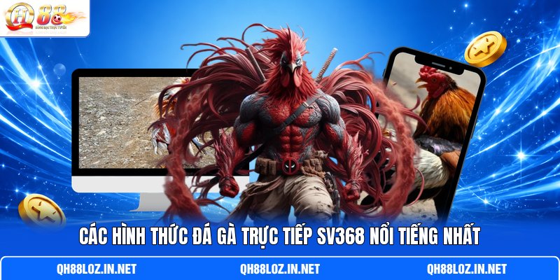 Các hình thức đá gà trực tiếp SV368 nổi tiếng nhất Các hình thức đá gà trực tiếp SV368 nổi tiếng nhất