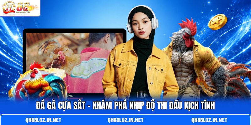 Đá Gà Cựa Sắt - Khám Phá Nhịp Độ Thi Đấu Kịch Tính