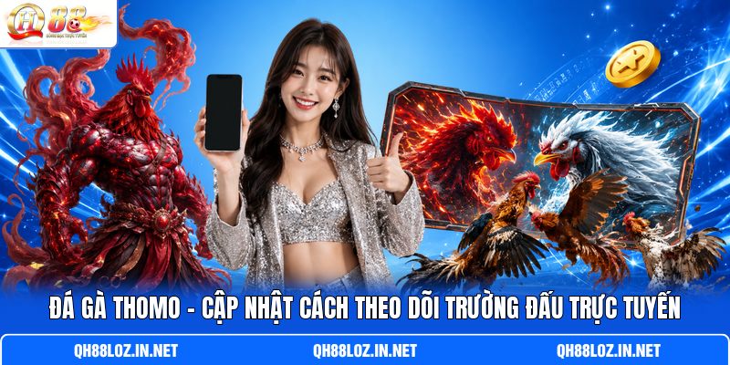Đá Gà Thomo - Cập Nhật Cách Theo Dõi Trường Đấu Trực Tuyến