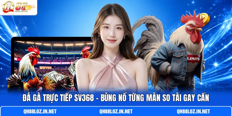 Đá Gà Trực Tiếp SV368 - Bùng Nổ Từng Màn So Tài Gay Cấn