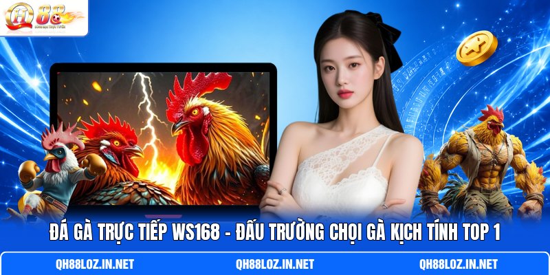 Đá Gà Trực Tiếp Ws168 - Đấu Trường Chọi Gà Kịch Tính Top 1