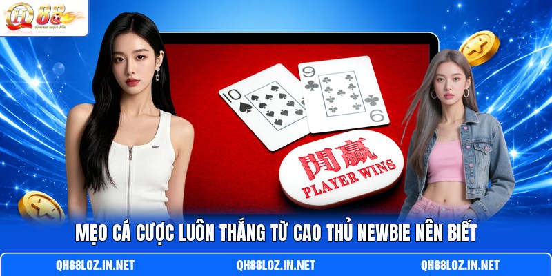 Mẹo cá cược luôn thắng từ cao thủ newbie nên biết Mẹo cá cược luôn thắng từ cao thủ newbie nên biết