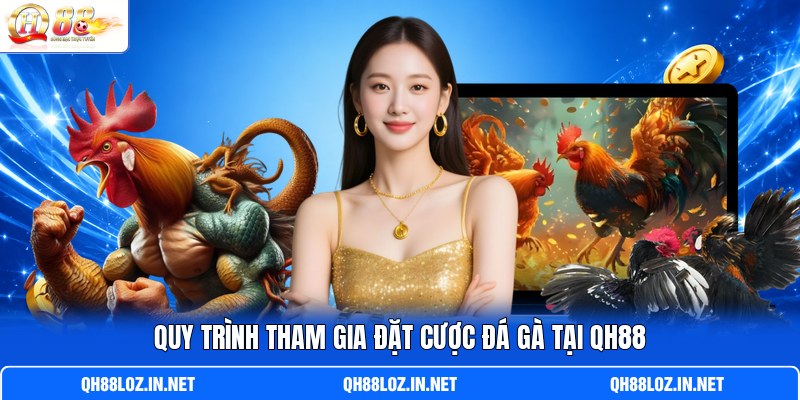 Quy trình tham gia đặt cược đá gà tại QH88 Quy trình tham gia đặt cược đá gà tại QH88