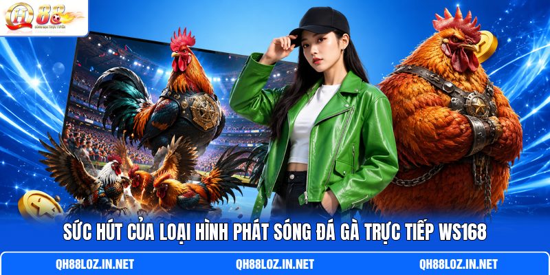 Sức hút của loại hình phát sóng đá gà trực tiếp WS168 Sức hút của loại hình phát sóng đá gà trực tiếp WS168