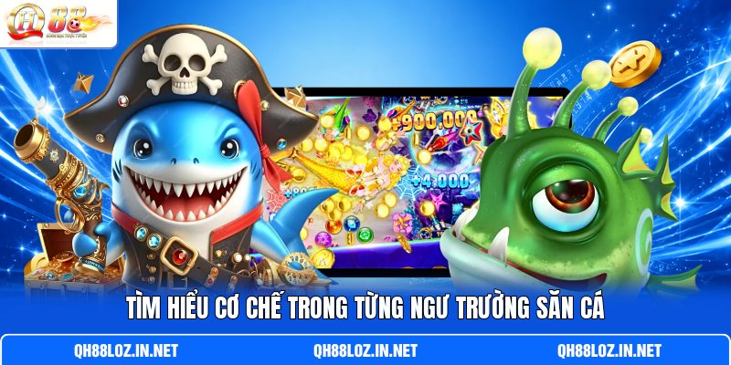 Tìm hiểu cơ chế trong từng ngư trường săn cá Tìm hiểu cơ chế trong từng ngư trường săn cá